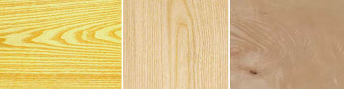 Phú Điền - Hình ảnh gỗ tần bì