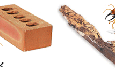 So sánh các đặc điểm và tính năng giữa gạch tuynel (gạch đất sét nung) và gạch block