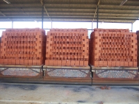Các gòng gạch tuynel mới ra lò