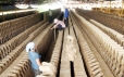 Yêu cầu kĩ thuật đất sét để sản xuất gạch ngói nung