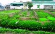 Cẩn trọng với những chiêu lừa mua đất xen kẹt